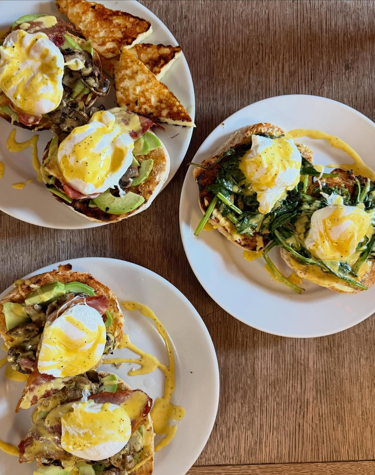 Three brunch plates with eggs benedict